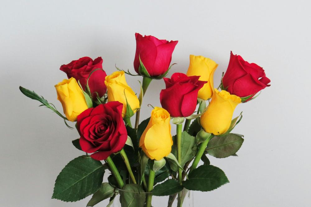 birthday flowers