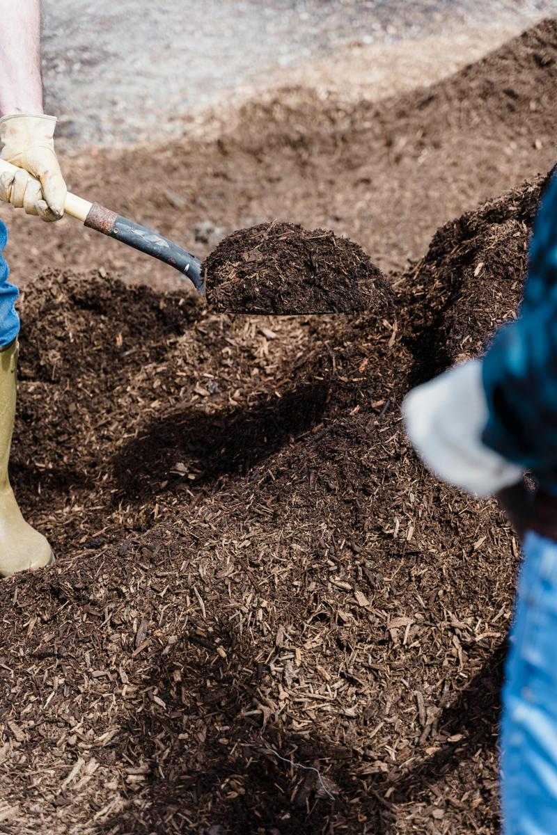 compost bin