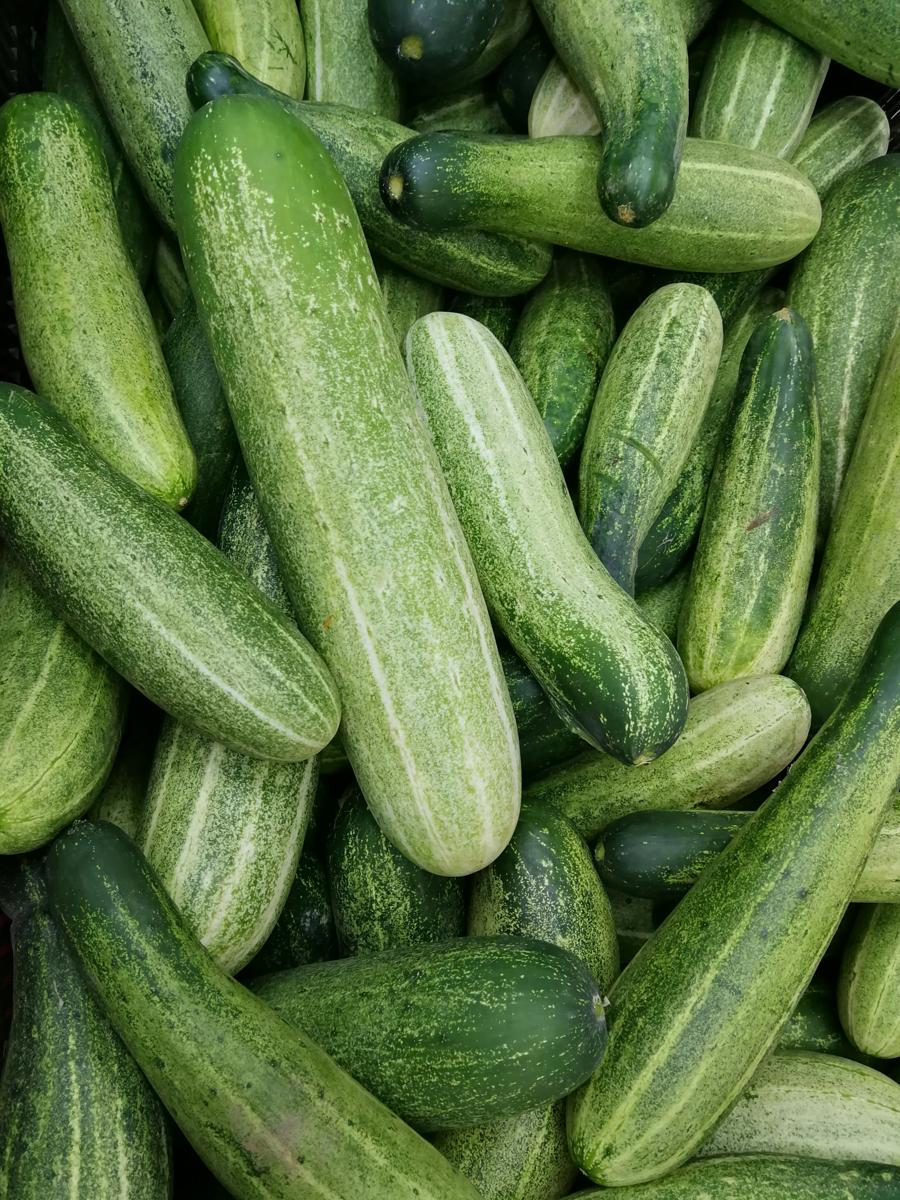cucumber salad