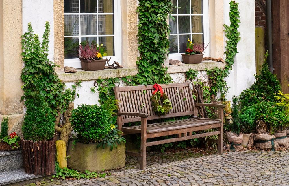 front garden