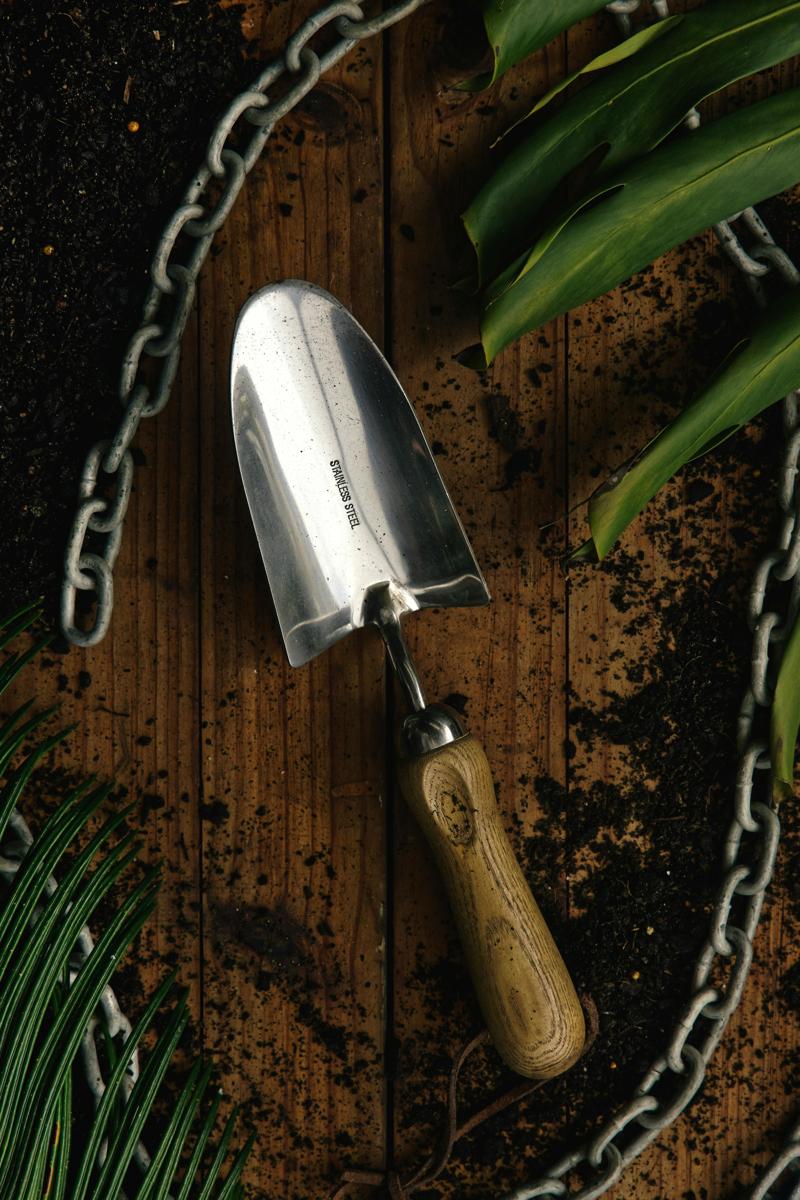 garden planting