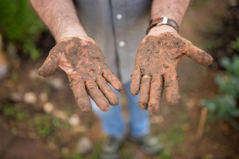 garden soil