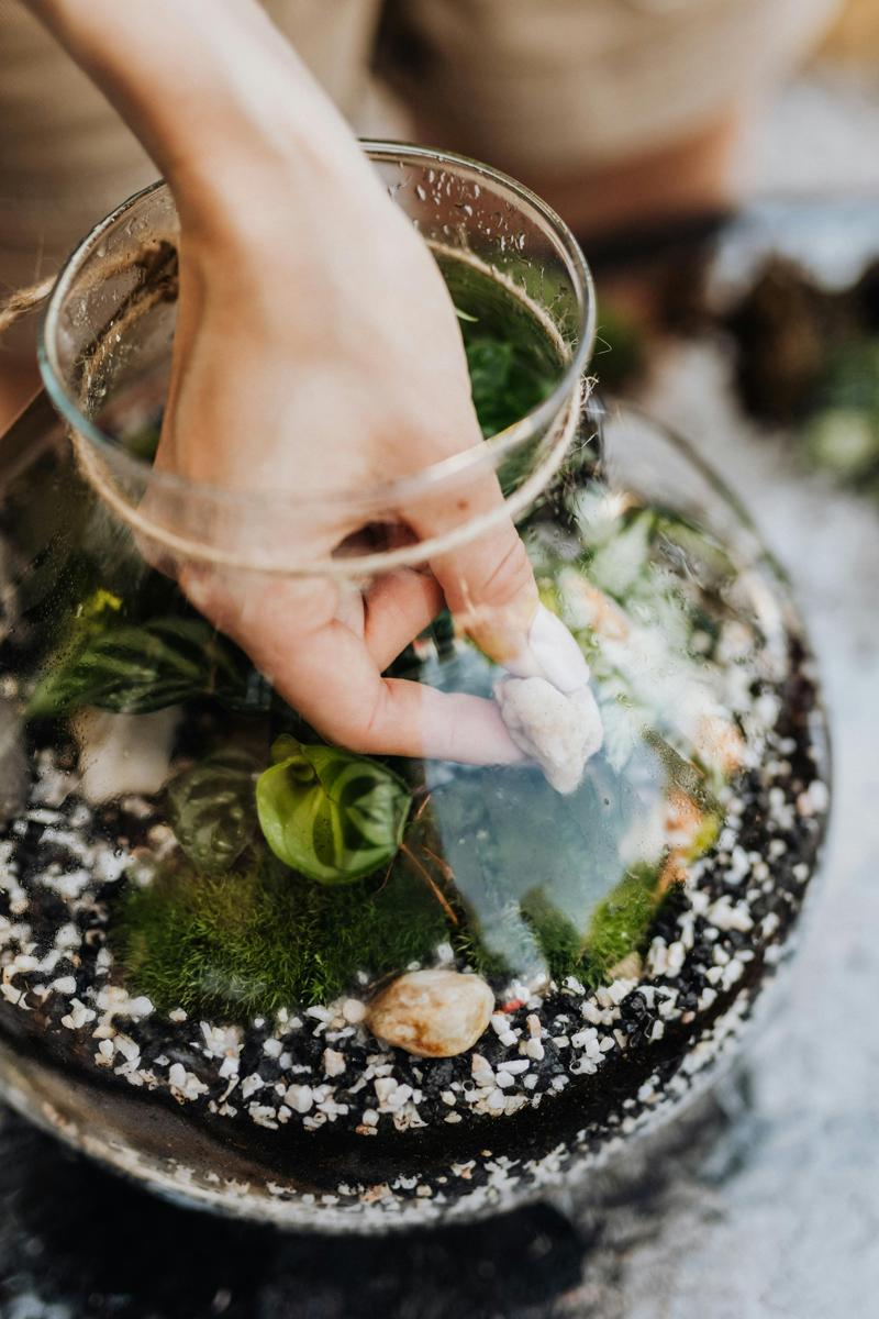 miniature garden