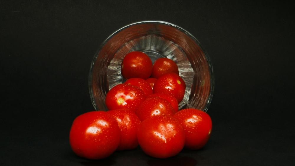 tomato garden